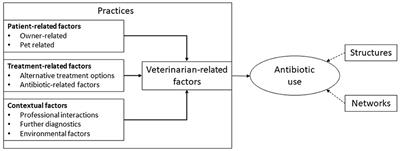 Understanding Antibiotic Use in Companion Animals: A Literature Review Identifying Avenues for Future Efforts